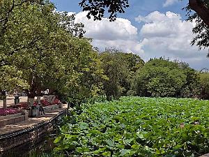 Kunming - Parc Cuihu - 32